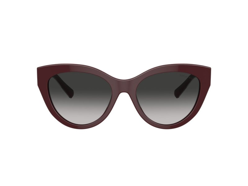 Tiffany TF 4220 83893C 54 Women sunglasses