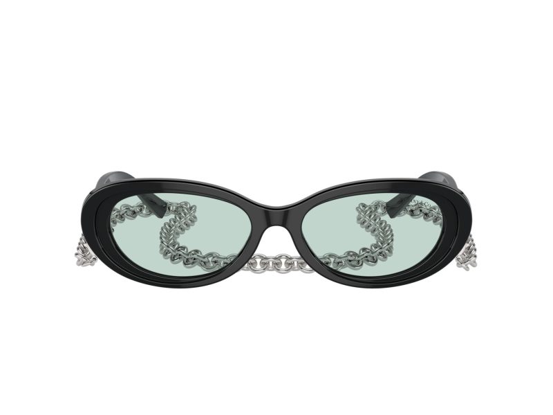 Tiffany TF 4221 8001D9 54 Women sunglasses
