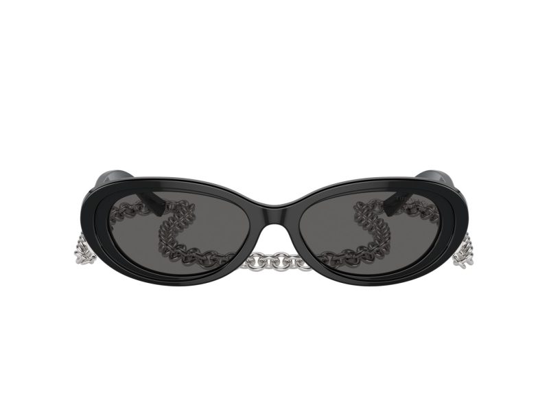 Tiffany TF 4221 8001S4 54 Women sunglasses
