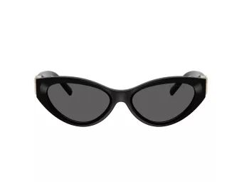 Tiffany TF 4225U 8001S4 54 Women sunglasses