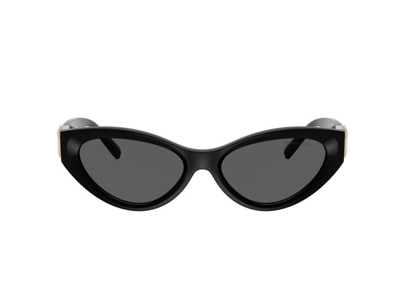 Tiffany TF 4225U 8001S4 54 Women sunglasses