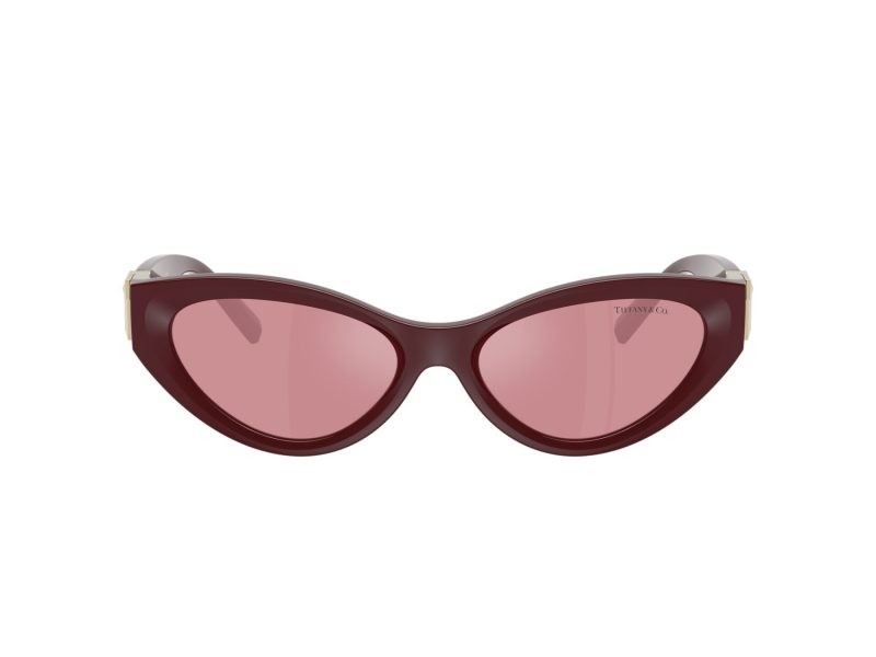 Tiffany TF 4225U 838930 54 Women sunglasses