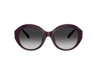 Tiffany TF 4227BU 84273C 53 Women sunglasses