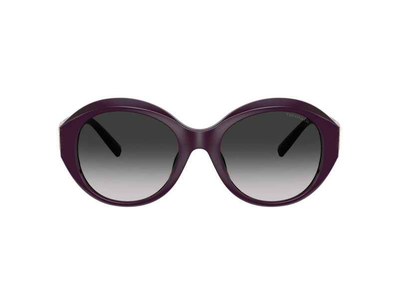 Tiffany TF 4227BU 84273C 53 Women sunglasses