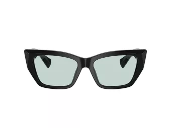 Tiffany TF 4230 8001D9 54 Women sunglasses