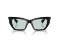 Tiffany TF 4230 8001D9 54 Women sunglasses
