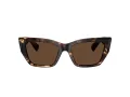 Tiffany TF 4230 84213G 54 Women sunglasses