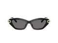 Tiffany TF 4231U 800181 53 Women sunglasses