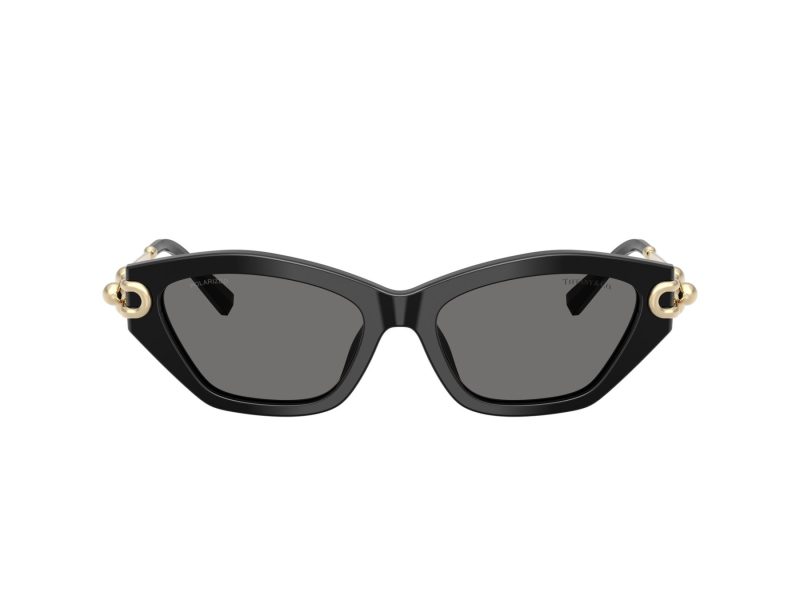 Tiffany TF 4231U 800181 53 Women sunglasses