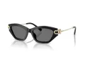 Tiffany TF 4231U 800181 53 Women sunglasses