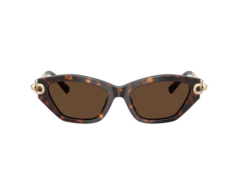 Tiffany TF 4231U 80153G 53 Women sunglasses