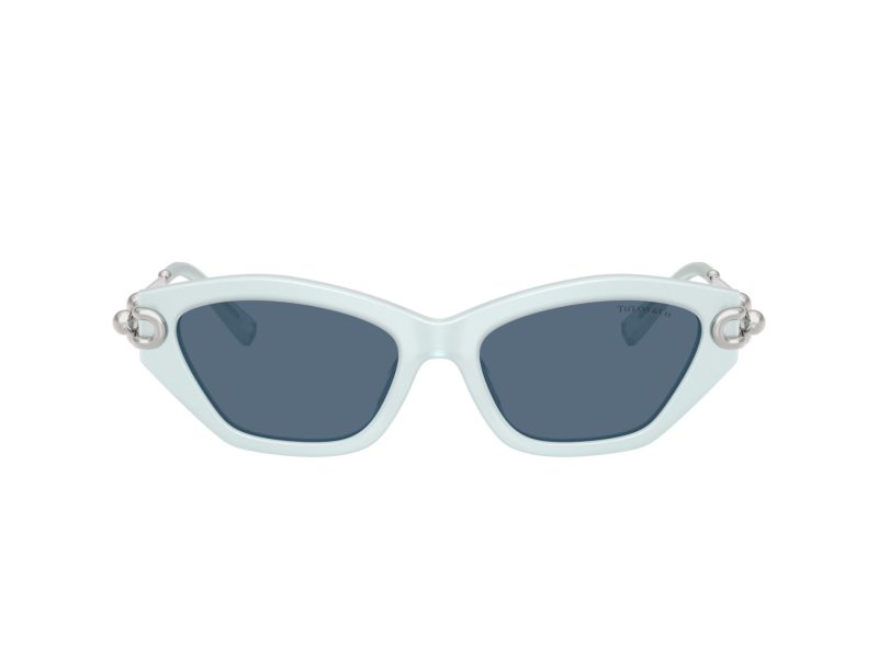 Tiffany TF 4231U 843680 53 Women sunglasses