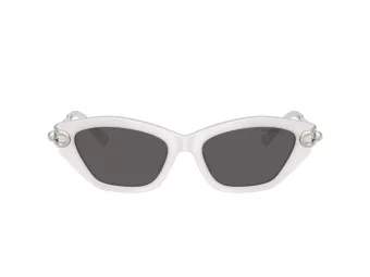 Tiffany TF 4231U 8437S4 53 Women sunglasses