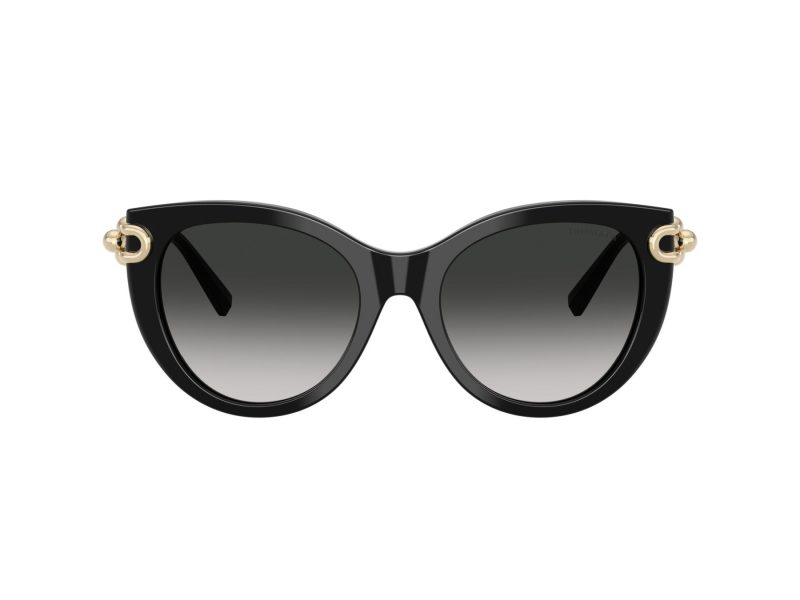 Tiffany TF 4232 80013C 53 Women sunglasses