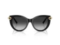 Tiffany TF 4232 80013C 53 Women sunglasses