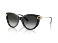 Tiffany TF 4232 80013C 53 Women sunglasses