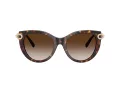 Tiffany TF 4232 80153B 53 Women sunglasses