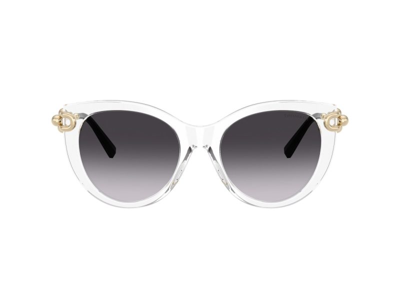 Tiffany TF 4232 80473C 53 Women sunglasses