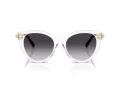 Tiffany TF 4232 80473C 53 Women sunglasses
