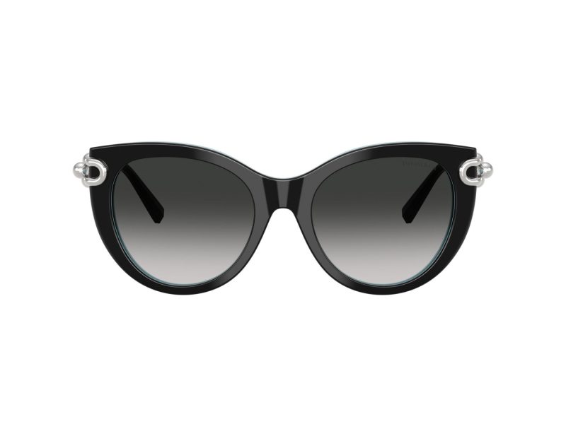Tiffany TF 4232 80553C 53 Women sunglasses