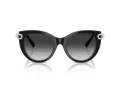 Tiffany TF 4232 80553C 53 Women sunglasses