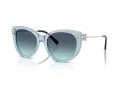 Tiffany TF 4232 84389S 53 Women sunglasses