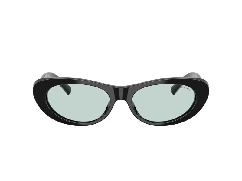 Tiffany TF 4236U 8001D9 55 Women sunglasses