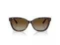 Tiffany TF 4237B 8015T5 55 Women sunglasses
