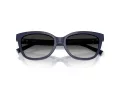Tiffany TF 4237B 83963C 55 Women sunglasses