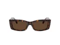 Tiffany TF 4240U 80153G 54 Women sunglasses