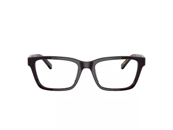 Tory Burch TY 2118U 1905 52 Women glasses