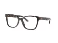 Tory Burch TY 2129U 1728 55 Women glasses