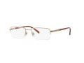 Versace VE 1066 1053 50 Men glasses