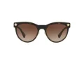 Versace VE 2198 125213 54 Women sunglasses