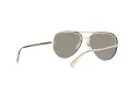 Versace VE 2231 12526G 60 Women sunglasses