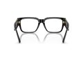 Versace VE 3350 GB1 55 Men glasses