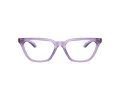 Versace VE 3352U 5451 53 Women glasses