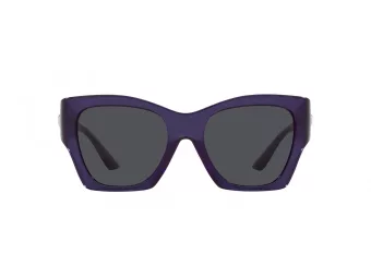 Versace VE 4452 541987 55 Women sunglasses