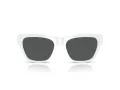 Versace VE 4457 314/87 55 Men sunglasses