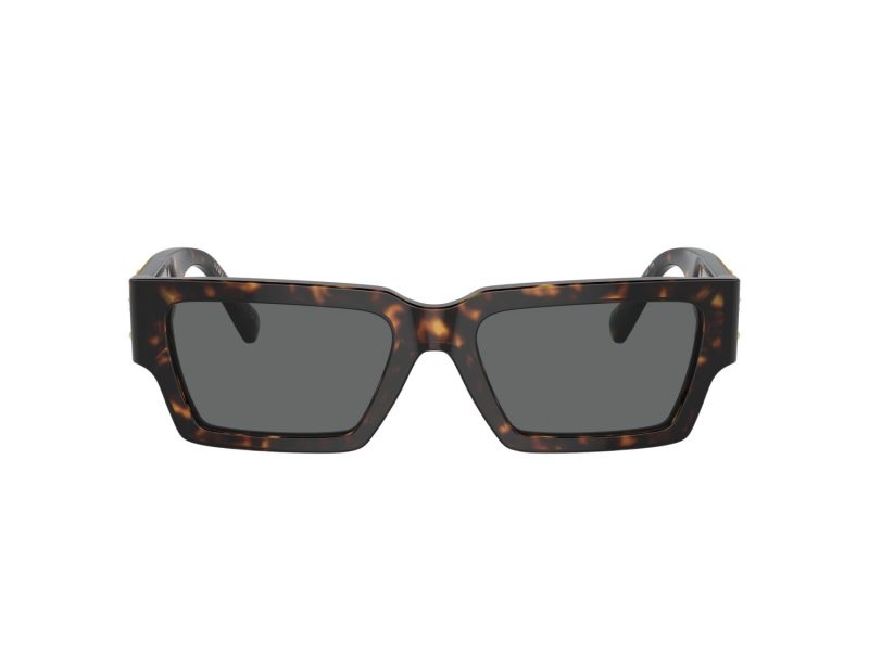 Versace VE 4459 108/87 54 Men, Women sunglasses
