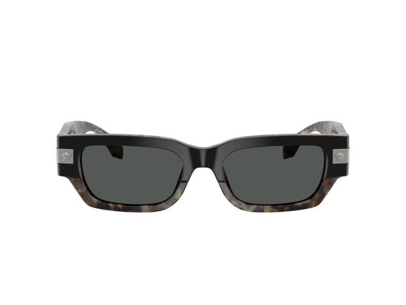 Versace VE 4465 545687 53 Men sunglasses