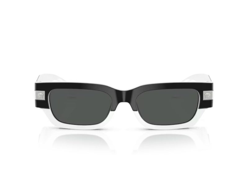 Versace VE 4465 545987 53 Men sunglasses