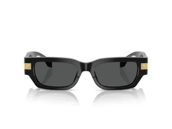 Versace VE 4465 GB1/87 53 Men sunglasses