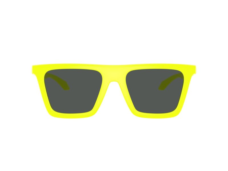 Versace VE 4468U 544987 53 Men sunglasses