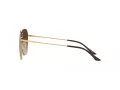 Vogue VO 4215SD 280/13 58 Women sunglasses