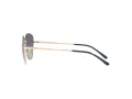 Vogue VO 4232S 848/4L 53 Women sunglasses