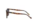 Vogue VO 5328S 281980 49 Men sunglasses