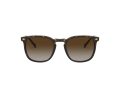 Vogue VO 5328S W656/13 49 Men sunglasses