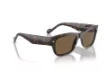 Vogue 5530S W65673 55 Men sunglasses