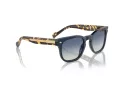 Vogue VO 5571S 31434L 53 Men sunglasses